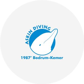 Asın Diving Bodrum-Kemer